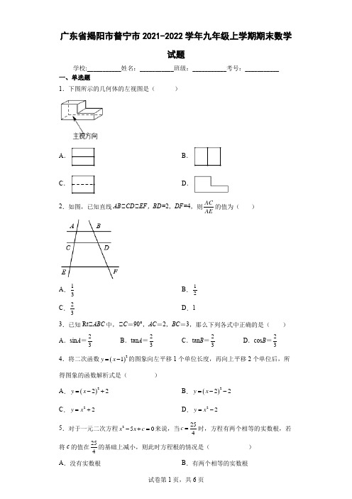 广东省揭阳市普宁市2021-2022学年九年级上学期期末数学试题(含答案解析)