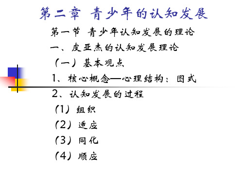 青少年的认知发展