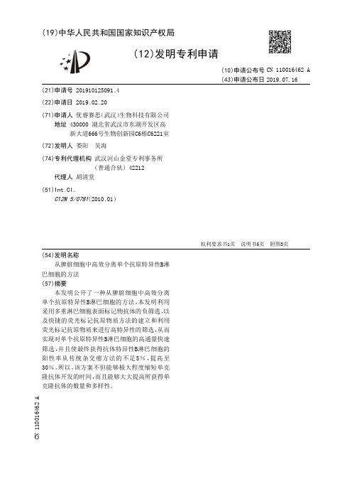 【CN110016462A】从脾脏细胞中高效分离单个抗原特异性B淋巴细胞的方法【专利】