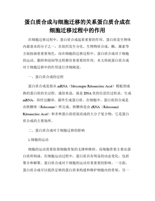 蛋白质合成与细胞迁移的关系蛋白质合成在细胞迁移过程中的作用