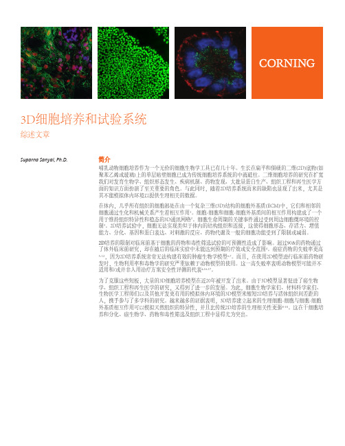 3D细胞培养和试验系统