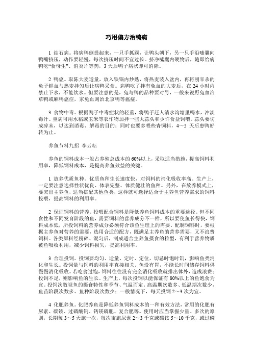 巧用偏方治鸭病