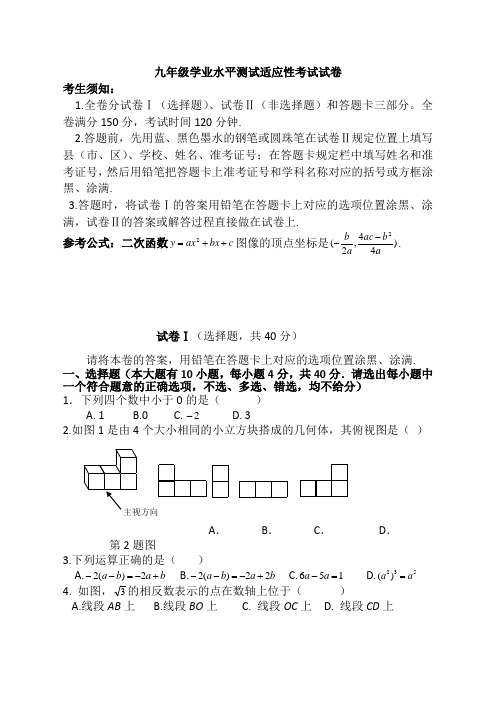 九年级学业水平测试适应性考试试卷