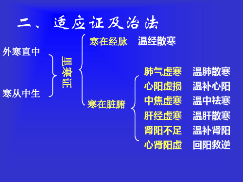 方剂学温里剂专题知识讲座