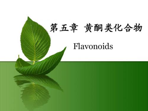 天然产物化学(第五章)黄酮类化合物