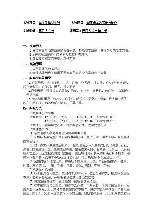 海洋生物学实验_海藻实验报告1