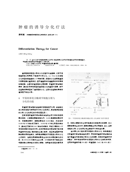 肿瘤的诱导分化疗法