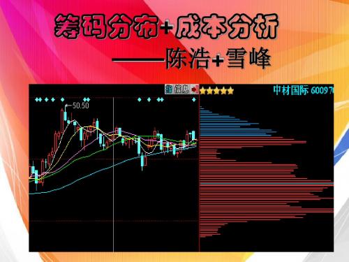 筹码分布+成本分析—陈浩+雪峰