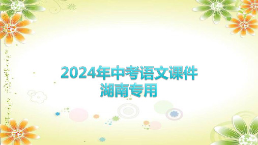 2024年中考语文(湖南专用)专题三 语法课件(共46张PPT)