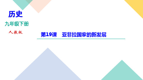 2020-2021年九年级下册人教版历史习题课件  第五单元  第19课 亚非拉国家的新发展