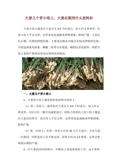 大姜几个芽小培土,大姜后期用什么肥料好