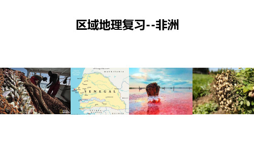 高三专题 世界地理 ——非洲(ppt17张)