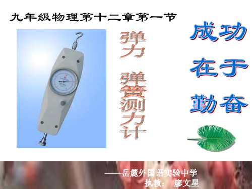 九年级物理弹簧测力计(整理2019年11月)