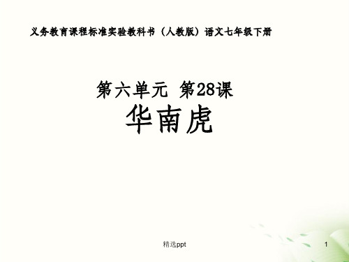 人教版语文七年级下册第六单元华南虎