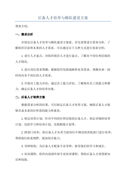 后备人才培养与梯队建设方案