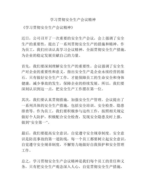 学习贯彻安全生产会议精神