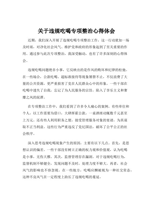 关于违规吃喝专项整治心得体会