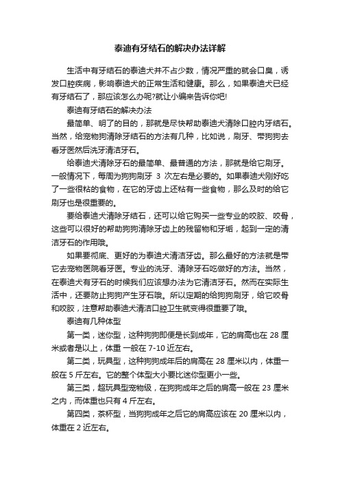 泰迪有牙结石的解决办法详解