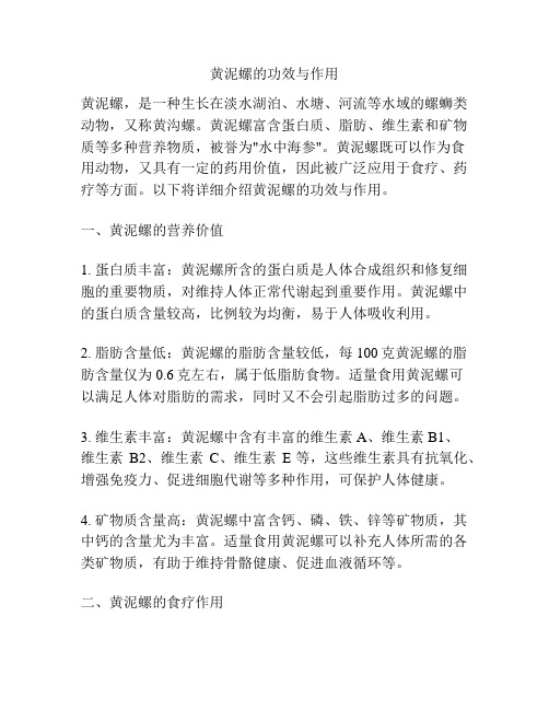 黄泥螺的功效与作用