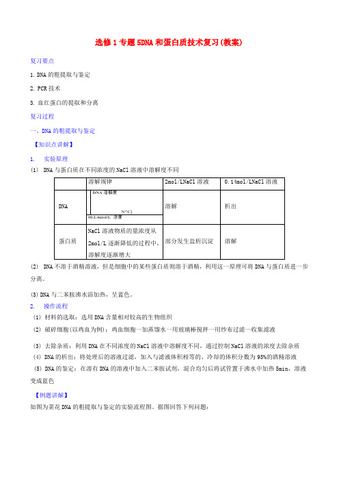 人教版高中生物选修1专题5dna和蛋白质技术复习教案