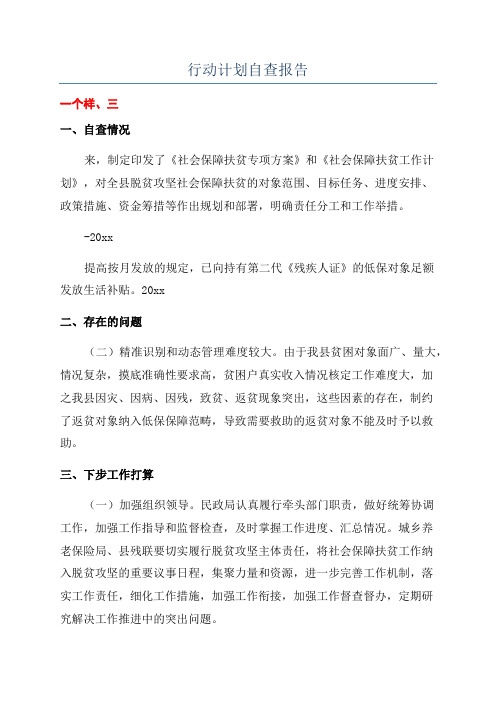 打赢打好脱贫攻坚战三年行动计划自查报告