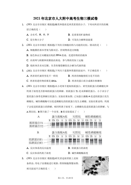 2021年北京市人大附中高考生物三模试卷(附答案详解)