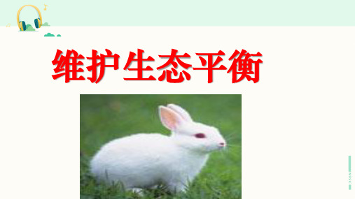 教科版科学五年级上册《维护生态平衡》课件