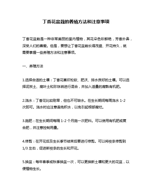 丁香花盆栽的养殖方法和注意事项