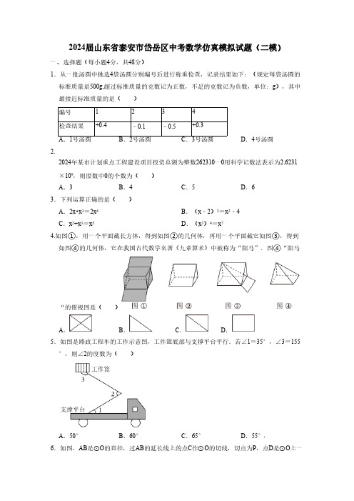 2024届山东省泰安市岱岳区中考数学仿真模拟试题(二模)附答案