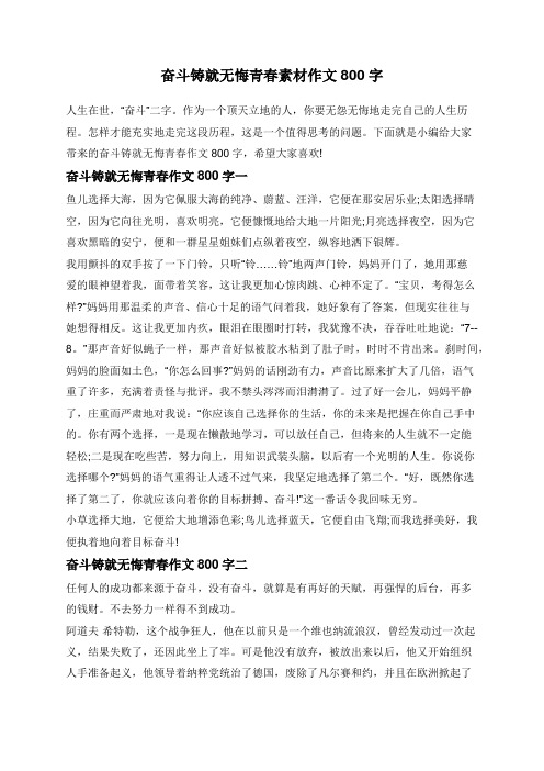 奋斗铸就无悔青春素材作文800字