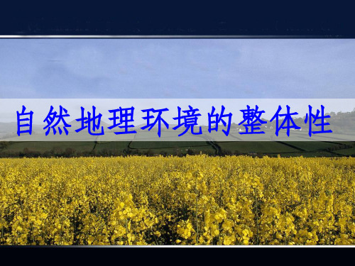 自然地理环境的整体性地理环境地理环境包括自然地理环境和人文