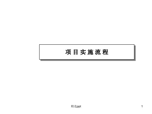 《项目实施流程》PPT课件