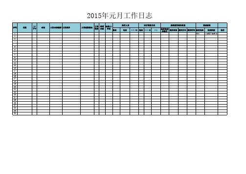 工作日志 -执行情况检查用