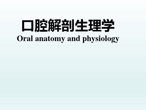 口腔解剖学-第四章颌面部骨要点