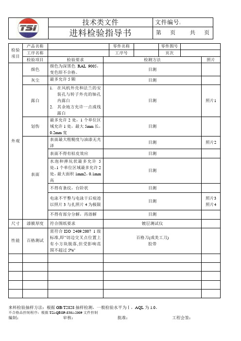 电泳检验指导书