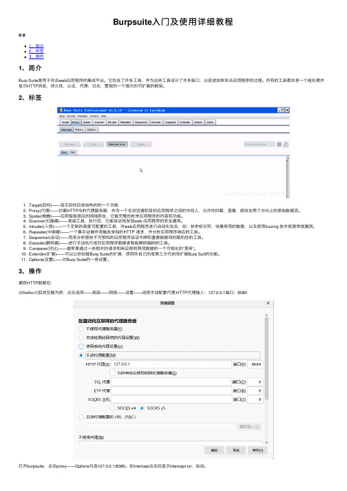 Burpsuite入门及使用详细教程