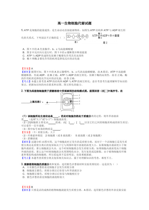 高一生物细胞代谢试题
