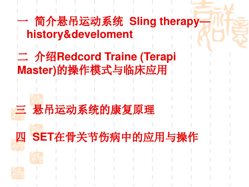 悬吊康复训练系统PPT课件