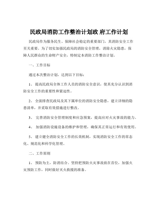 民政局消防工作整治计划政 府工作计划