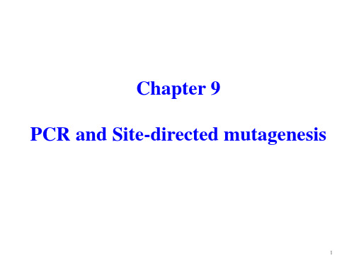 南开大学 基因操作原理 第九章