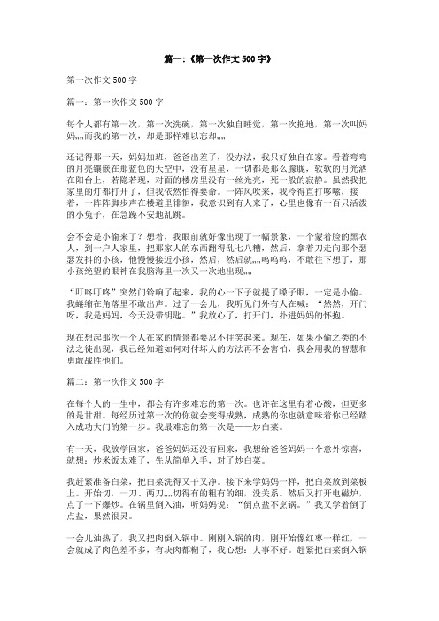 一篇我第一次的作文五百字