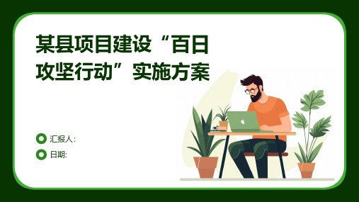 某县项目建设“百日攻坚行动”实施方案