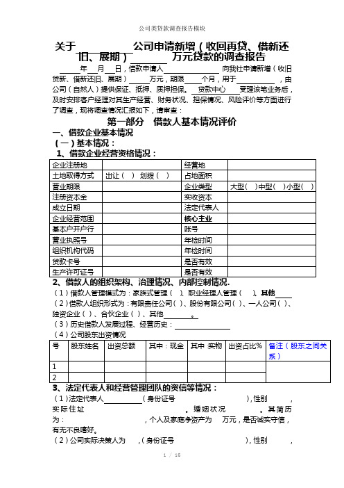 公司类贷款调查报告模块参考模板