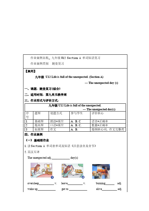 九年级英语优秀作业设计案例