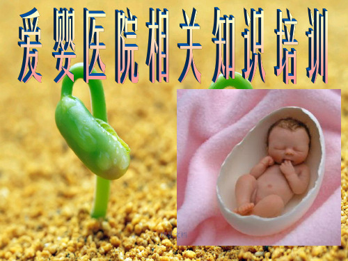 母乳喂养知识培训幻灯片PPT