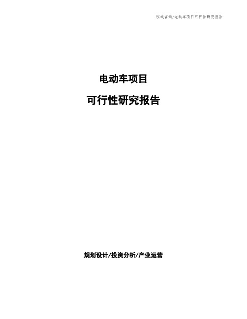 电动车项目可行性研究报告