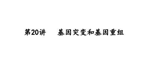 高三生物一轮复习课件：第20讲基因突变和基因重组