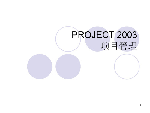 PROJECT项目管理(培训)PPT课件