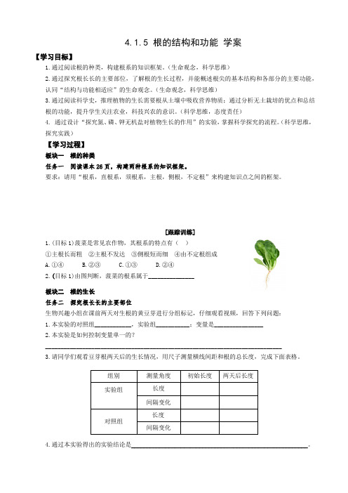 4.1.5 根的结构和功能 学案2023--2024学年济南版生物八年级上册