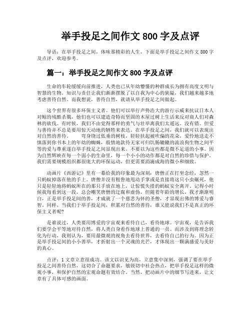 举手投足之间作文800字及点评